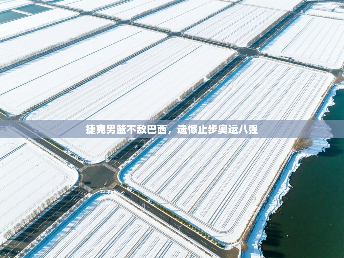 捷克男篮不敌巴西,遗憾止步奥运八强 第2张